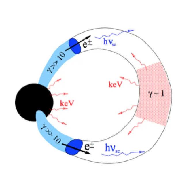 Hard X-ray emission from the magnetosphere of an active magnetar.