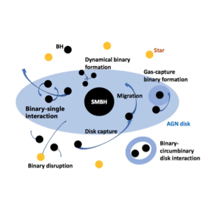Physical processes responsible for generating binary black hole mergers in the accretion disks of active galactic nuclei.